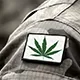 Cannabis Gives Veterans Their Lives Back